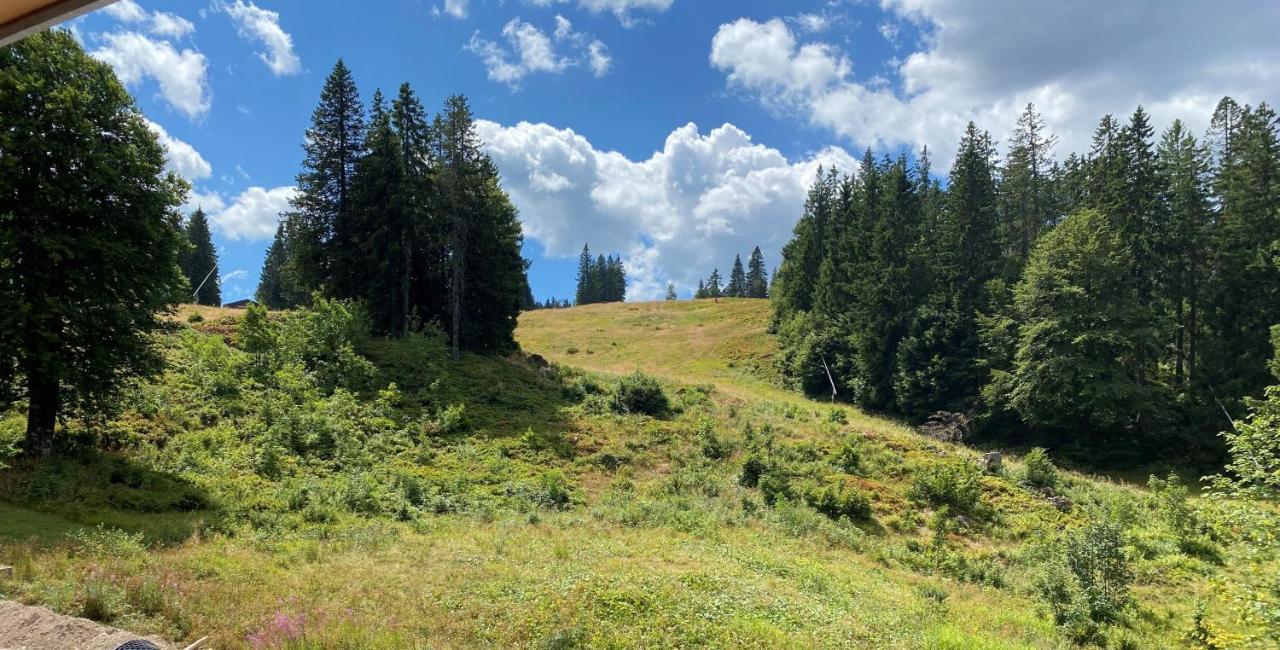 Ferienwohnung Feldberg Schwarzwald Ngoại thất bức ảnh