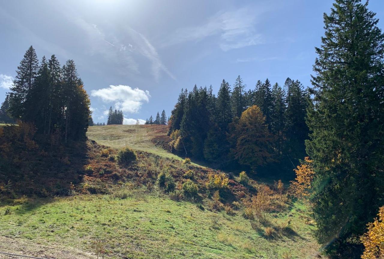 Ferienwohnung Feldberg Schwarzwald Ngoại thất bức ảnh