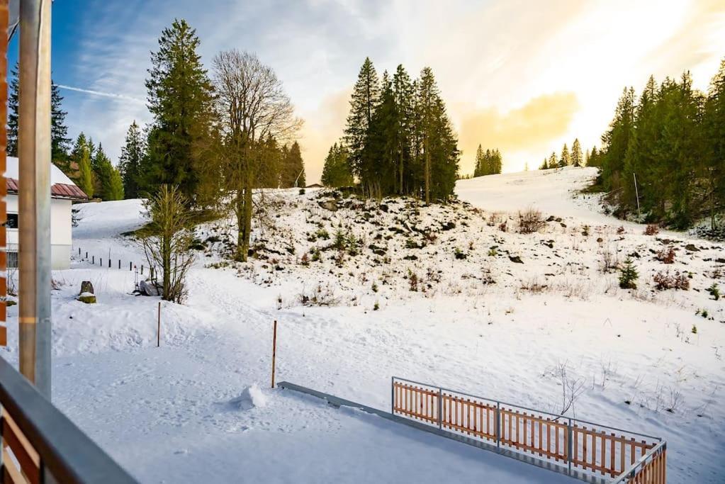 Ferienwohnung Feldberg Schwarzwald Ngoại thất bức ảnh